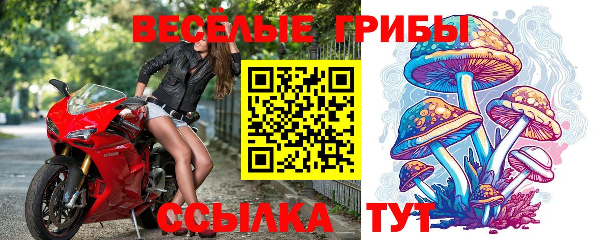 Псилоцибиновые грибы ЛСД  Вход с VPN  Унеча  сколько стоит  Псилоцибиновые грибы Psilocybe 